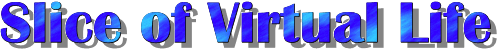 Slice of Virtual Life